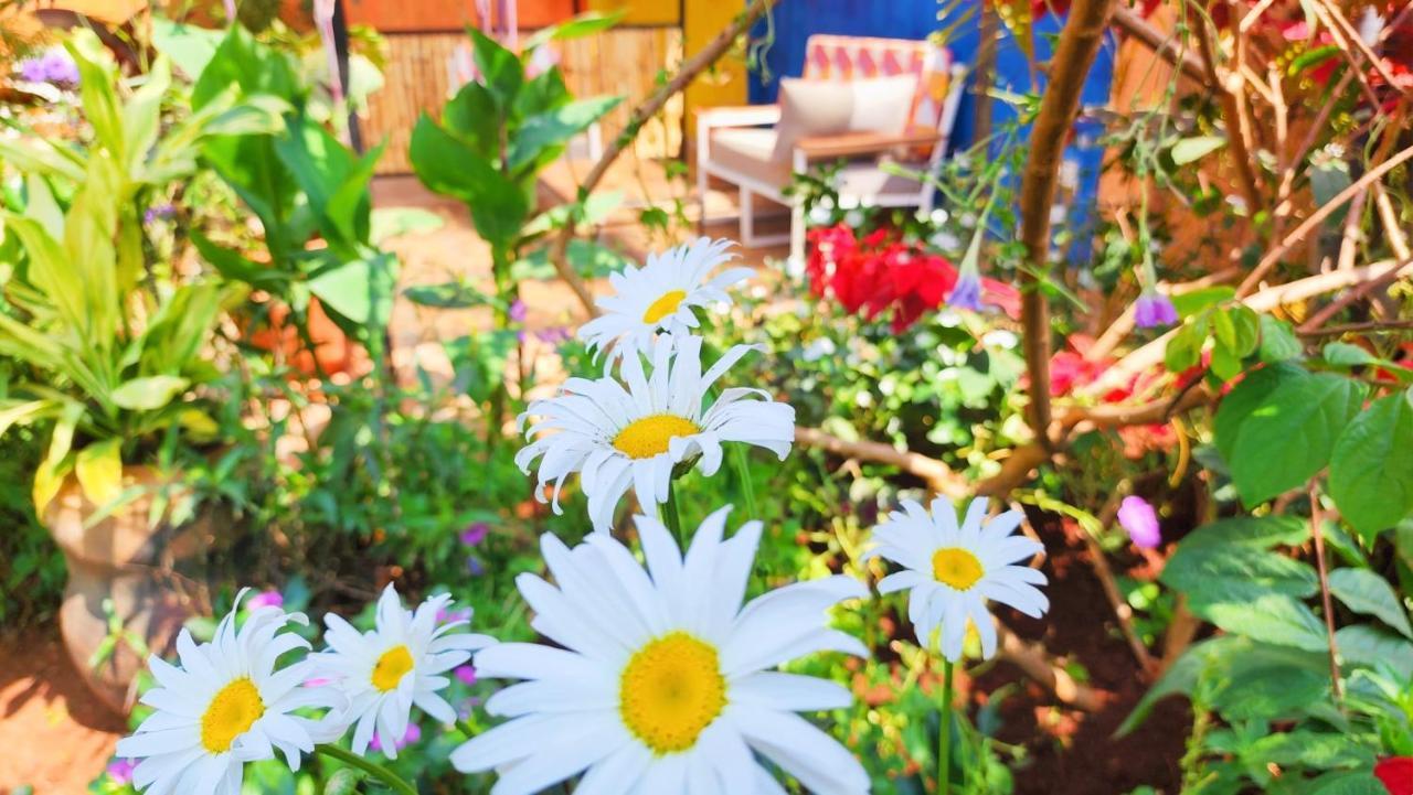 Yambi Guesthouse Kigali Zewnętrze zdjęcie
